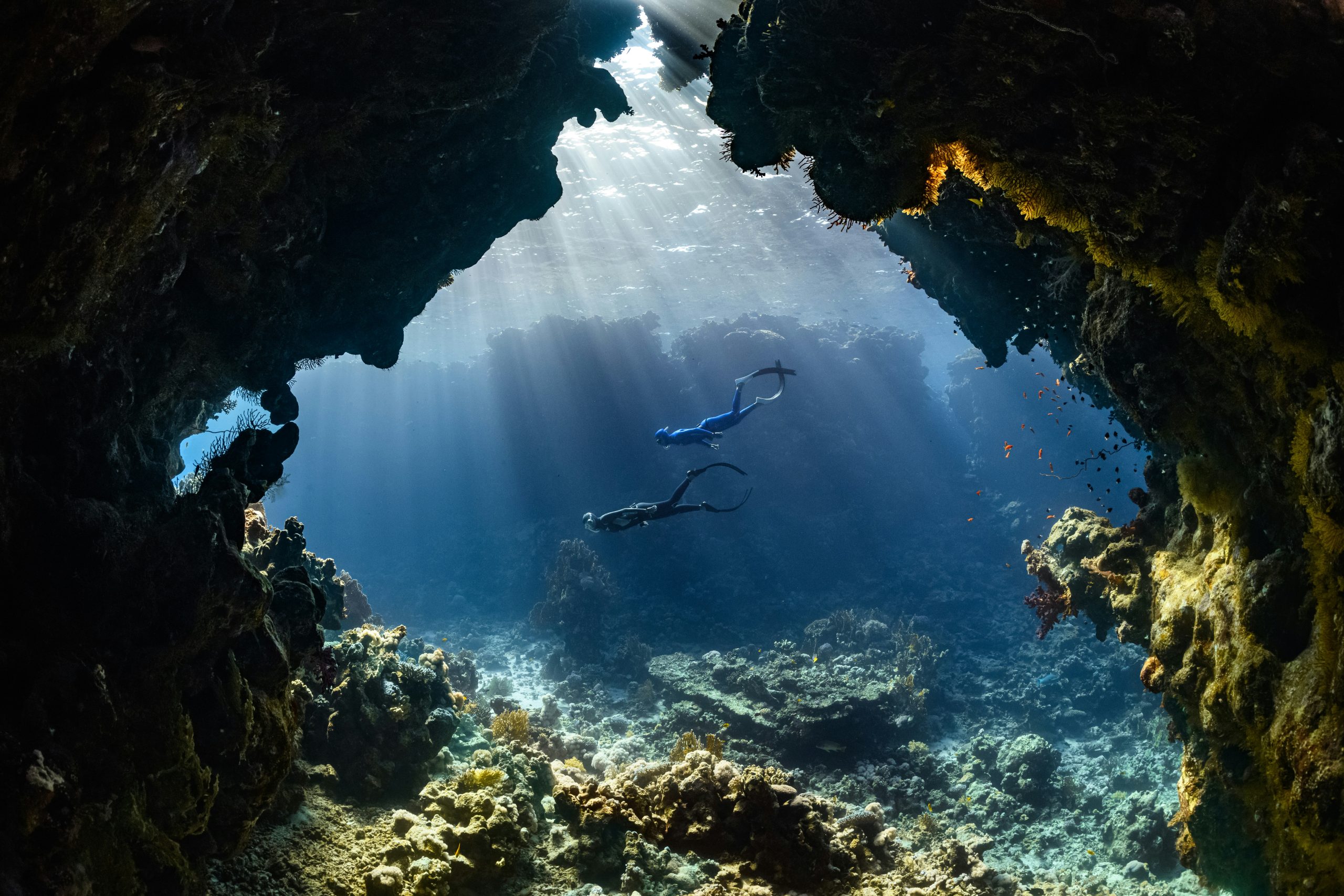 explore exciting oceanic quests and adventures in this immersive experience. dive into underwater worlds and uncover hidden treasures in oceanic quests.